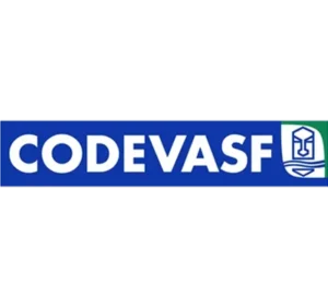 Convênios Codevasp da clínica indor para exame de eletroneuromiografia em Montes Claros e Pirapora